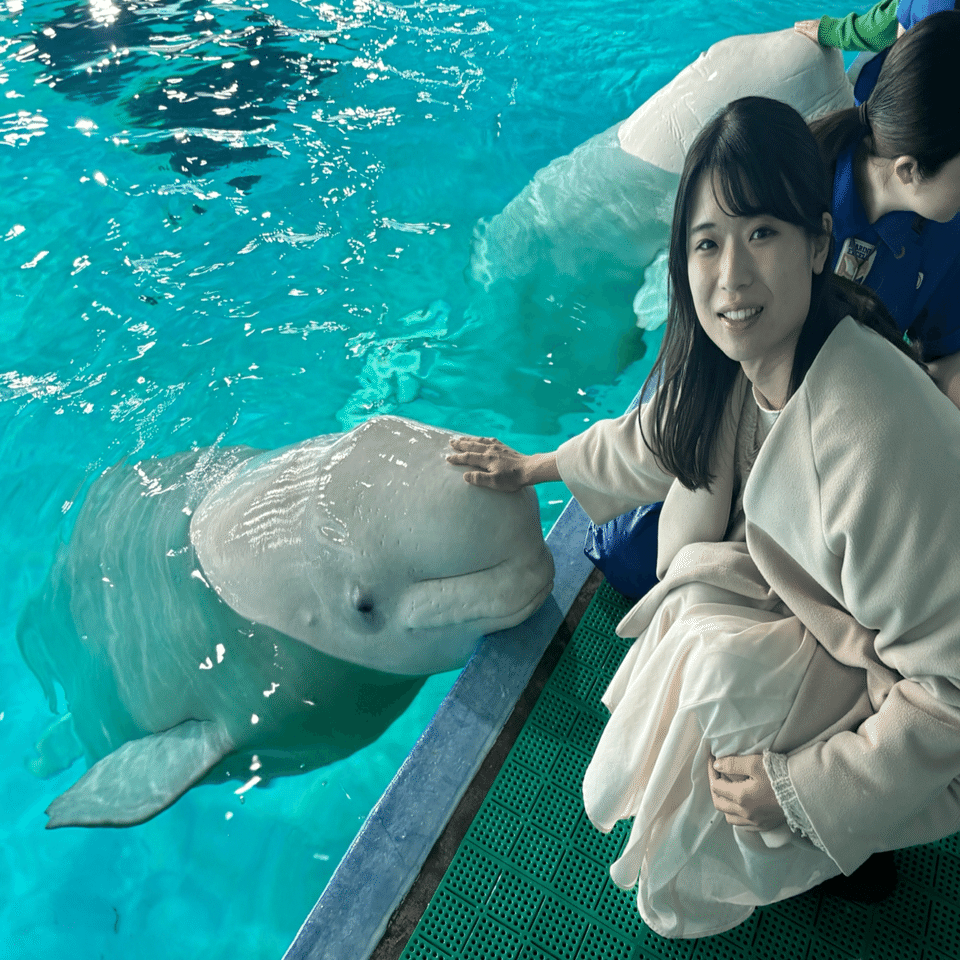 千葉の静かな海で過ごしたい 安房鴨川&館山ひとり旅 Day1｜𝕟𝕒𝕟𝕠❀