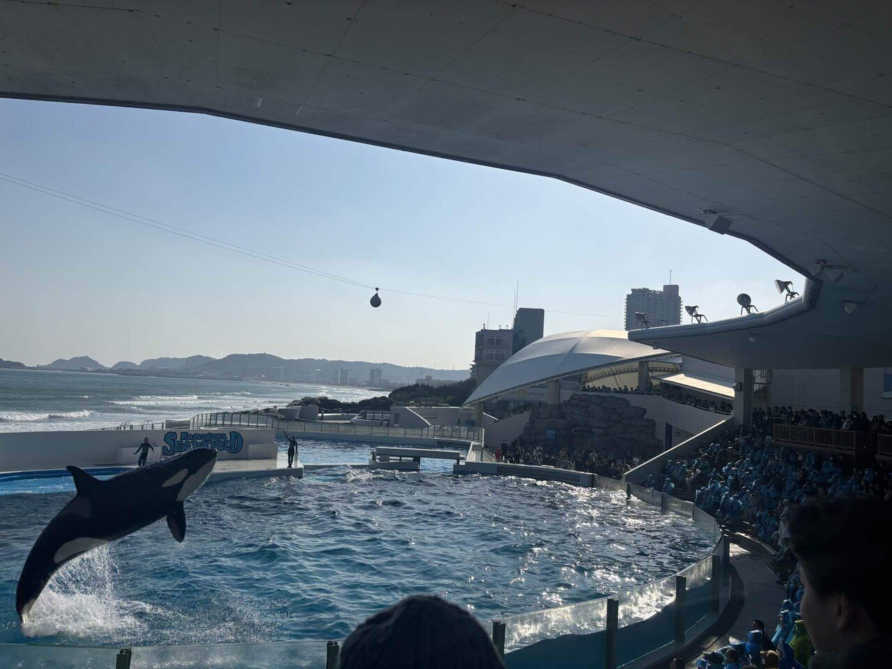 千葉の静かな海で過ごしたい 安房鴨川&館山ひとり旅 Day1