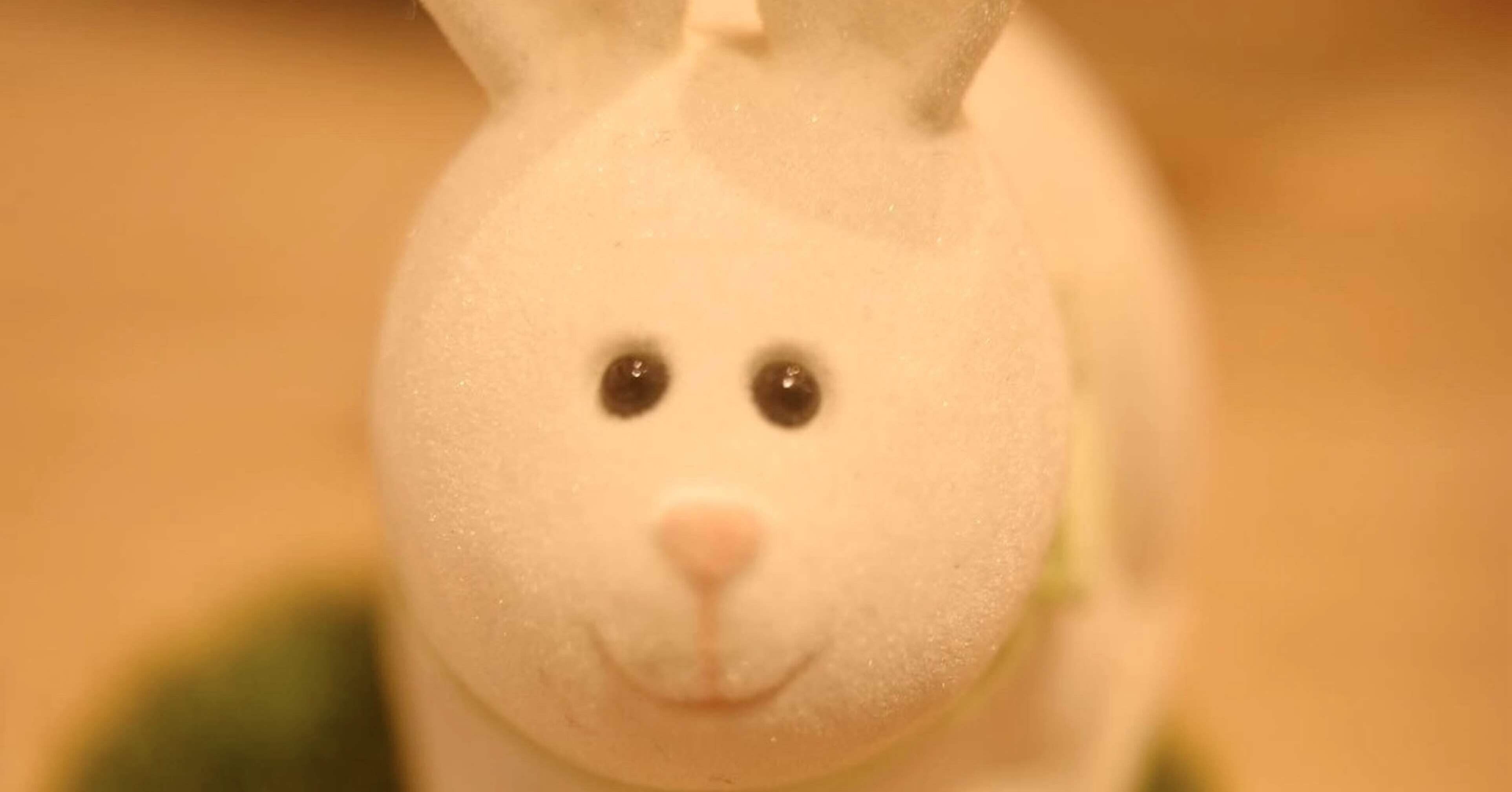 とにかくうさぎが好きな人、思い立ったが兎日｜MIO KUDOH 工藤未央