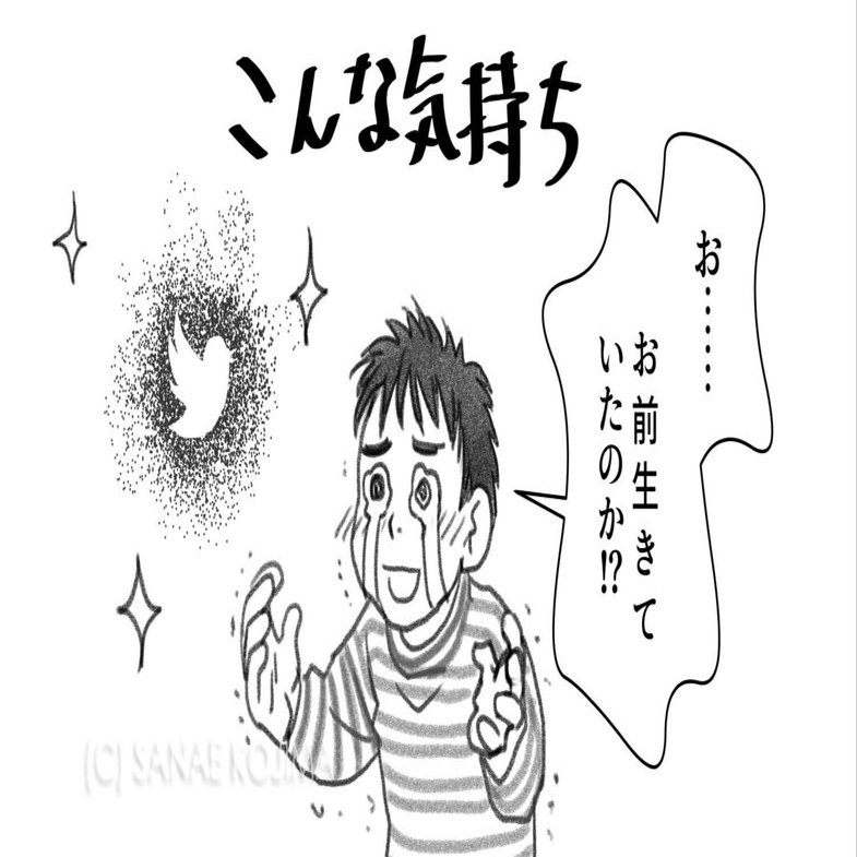 Xの履歴をダウンロードしたら思いがけずあの鳥に再会した話｜エッセイ