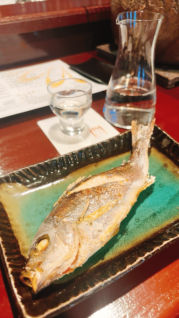 千葉の静かな海で過ごしたい 安房鴨川&館山ひとり旅 Day1｜𝕟𝕒𝕟𝕠❀