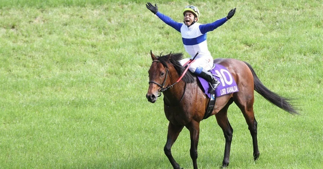 ロードカナロア馬券 メイクデビュー POG向け⑩ロードカナロア産駒注目馬：個人馬主編｜Key 【一口馬主手帳】
