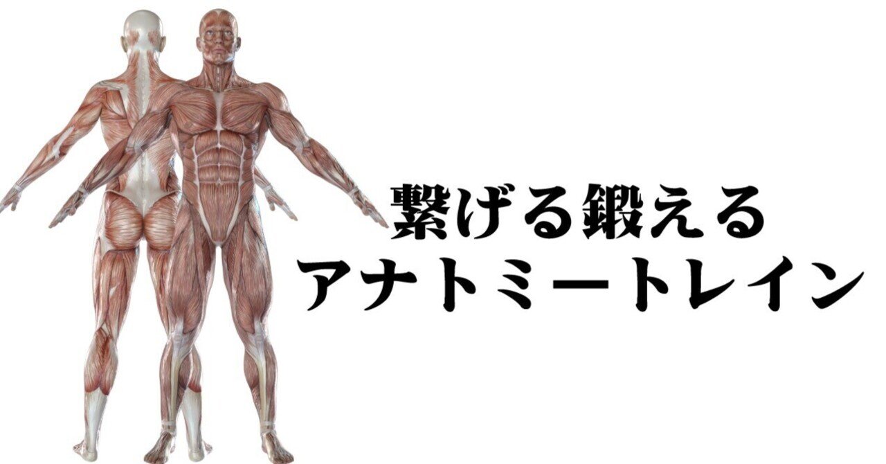 呼吸の増幅&自己制御 アナトミートレイン セミナー2018 トム ・ マイヤーズ Anatomy Trains セミナー2018 呼吸の増幅