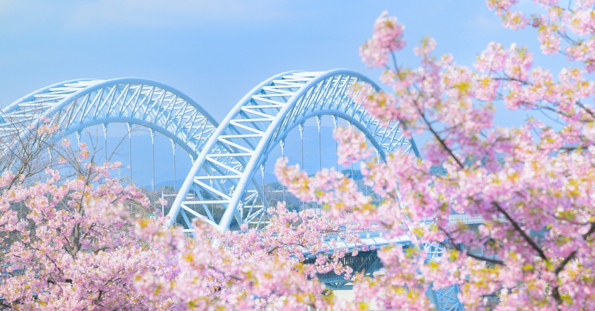 Nikon Z8持ってサクジローに会いに行く｜ほびマガ