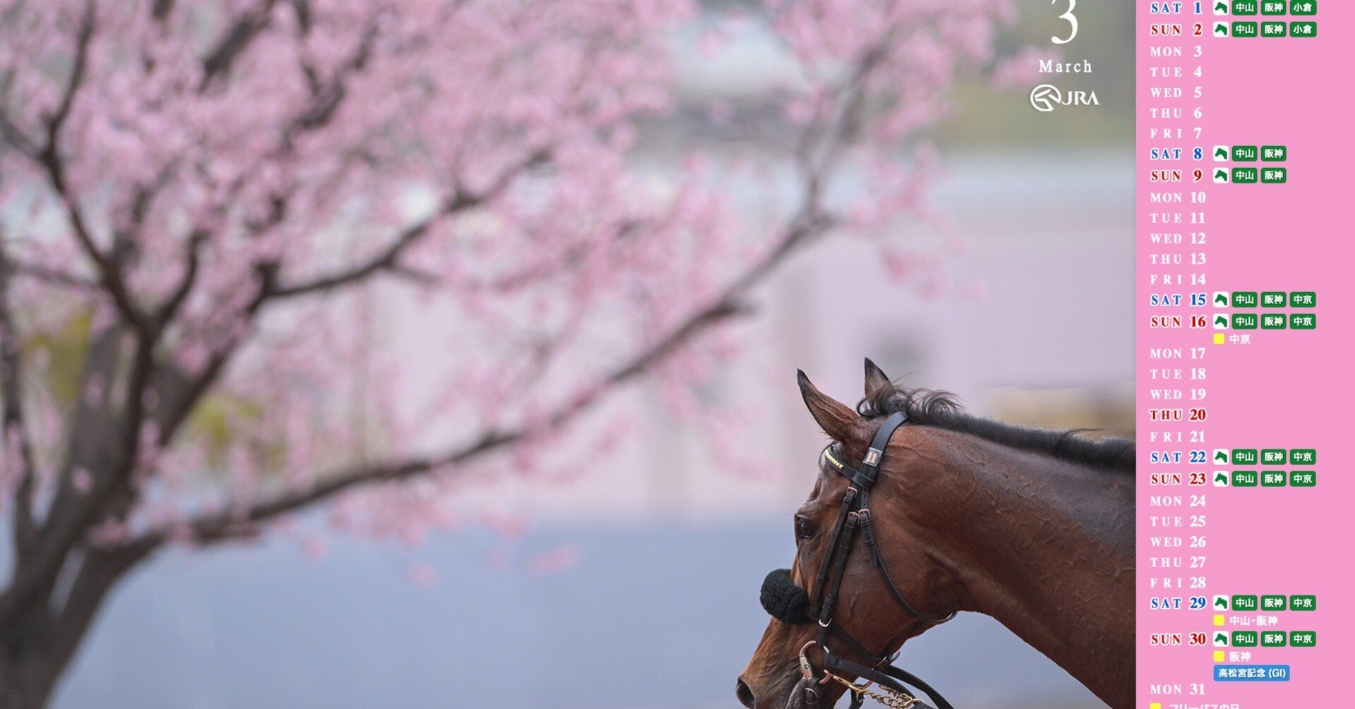 競馬原論】 競馬予想 3月23日(日) Win5|長坂総研 競馬原論】 競馬予想 3月23日(日) Win5|長坂総研