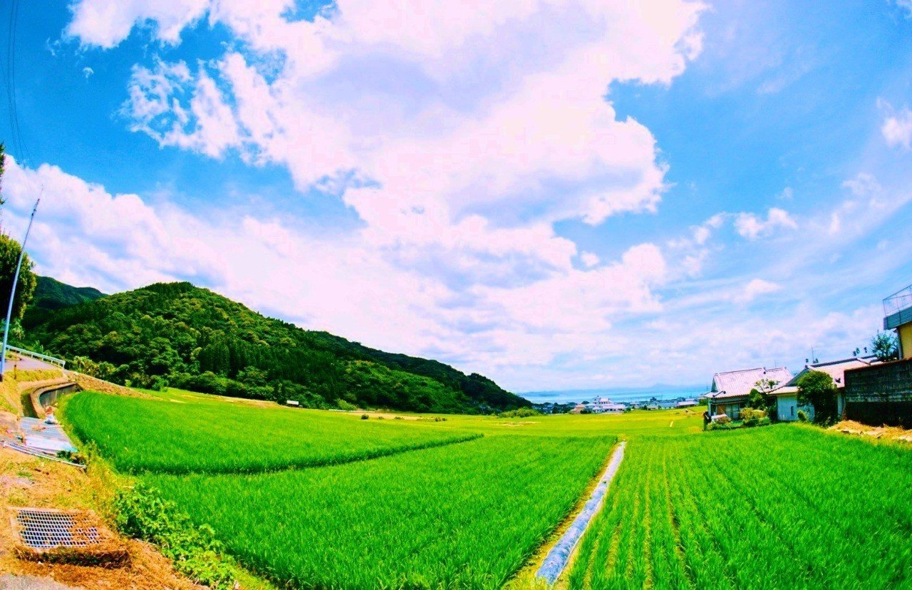 田舎の風景写真を撮るならココで決まり いちき串木野市羽島の 田んぼ道 Hideki 羽島note更新中 Note