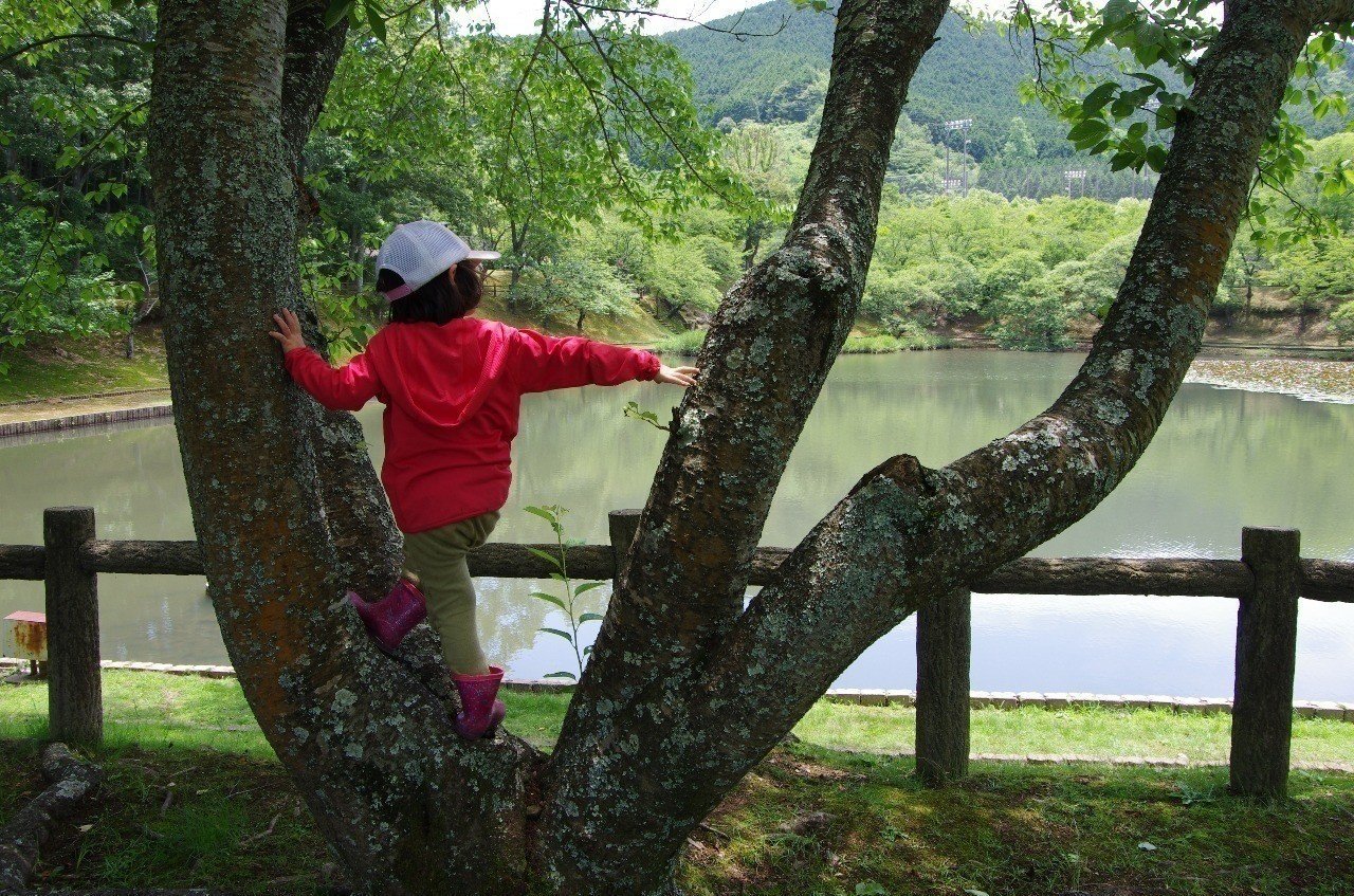 小学1年生は読み聞かせで言葉のシャワーを Saori Note