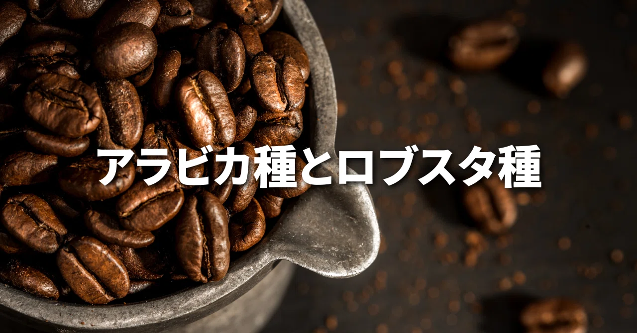 アラビカ種とロブスタ種｜kadel