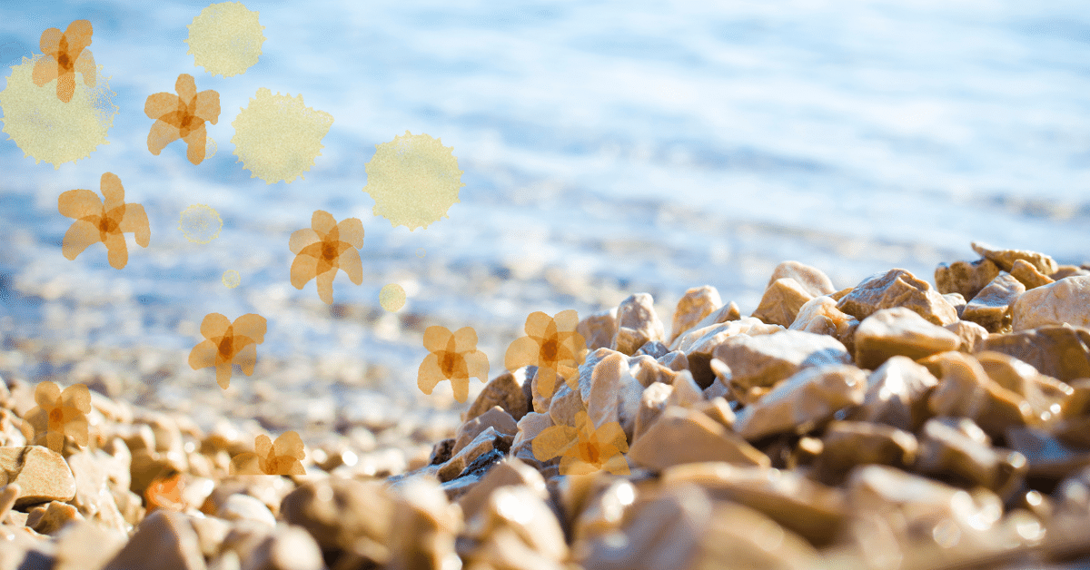 ♥石♥鉱物☆原石☆宝石☆置石☆置物☆鑑賞☆趣味☆エネルギー☆水晶☆クラスター 10/17 – 天然石・水晶原石・鉱物原石専門店 【The Stone of WAKOU】