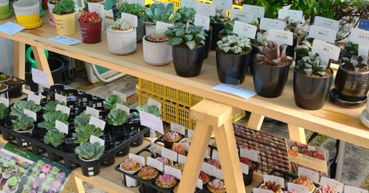 お目当ての植物の 