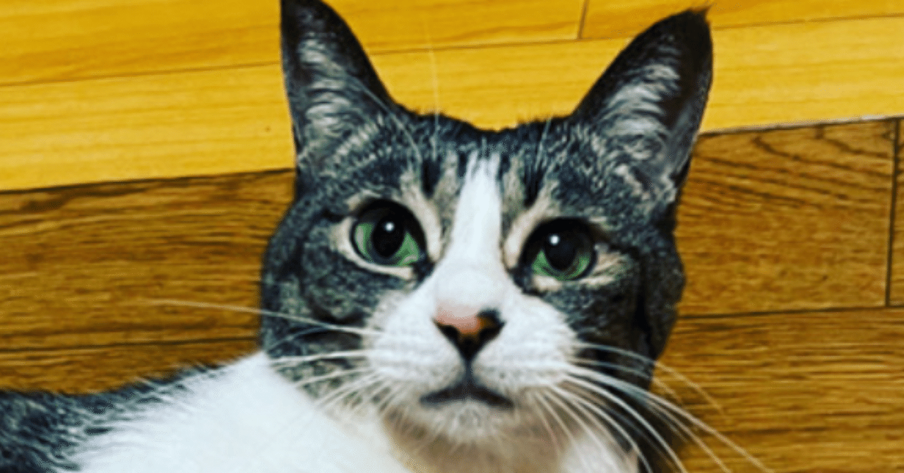 【中古】Band-in-a-Box 32　EverythingPAK BAND IN A BOX – フロンティアファクトリーストア