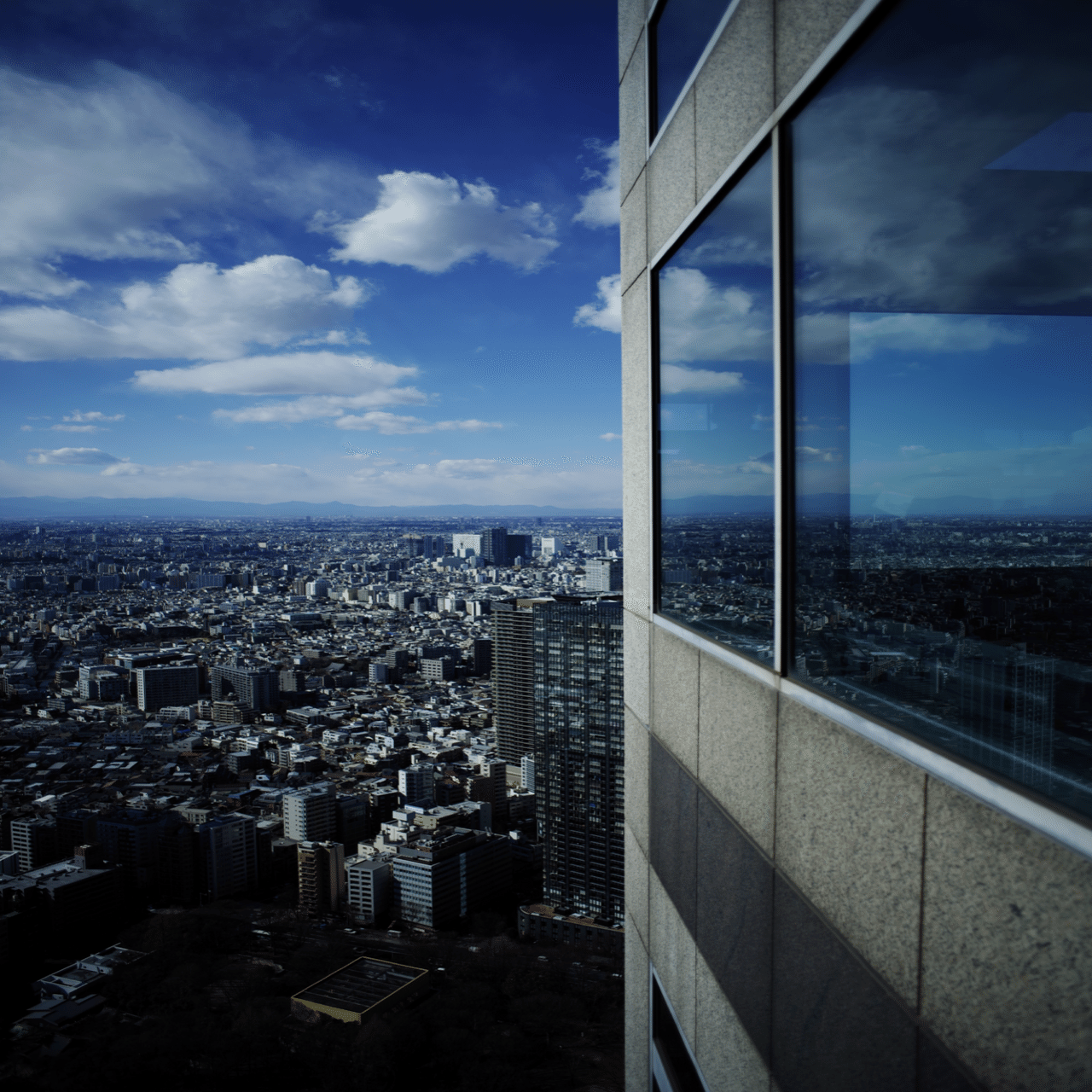 Carl Zeiss Planar T* 1.4/50 ZKと写真と私｜Aki Yamaki