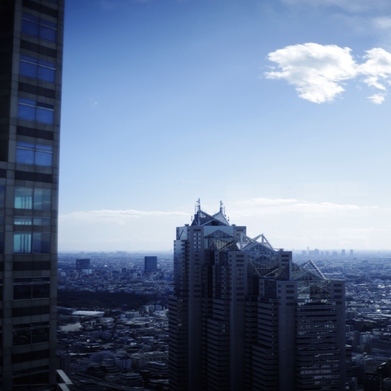 Carl Zeiss Planar T* 1.4/50 ZKと写真と私｜Aki Yamaki