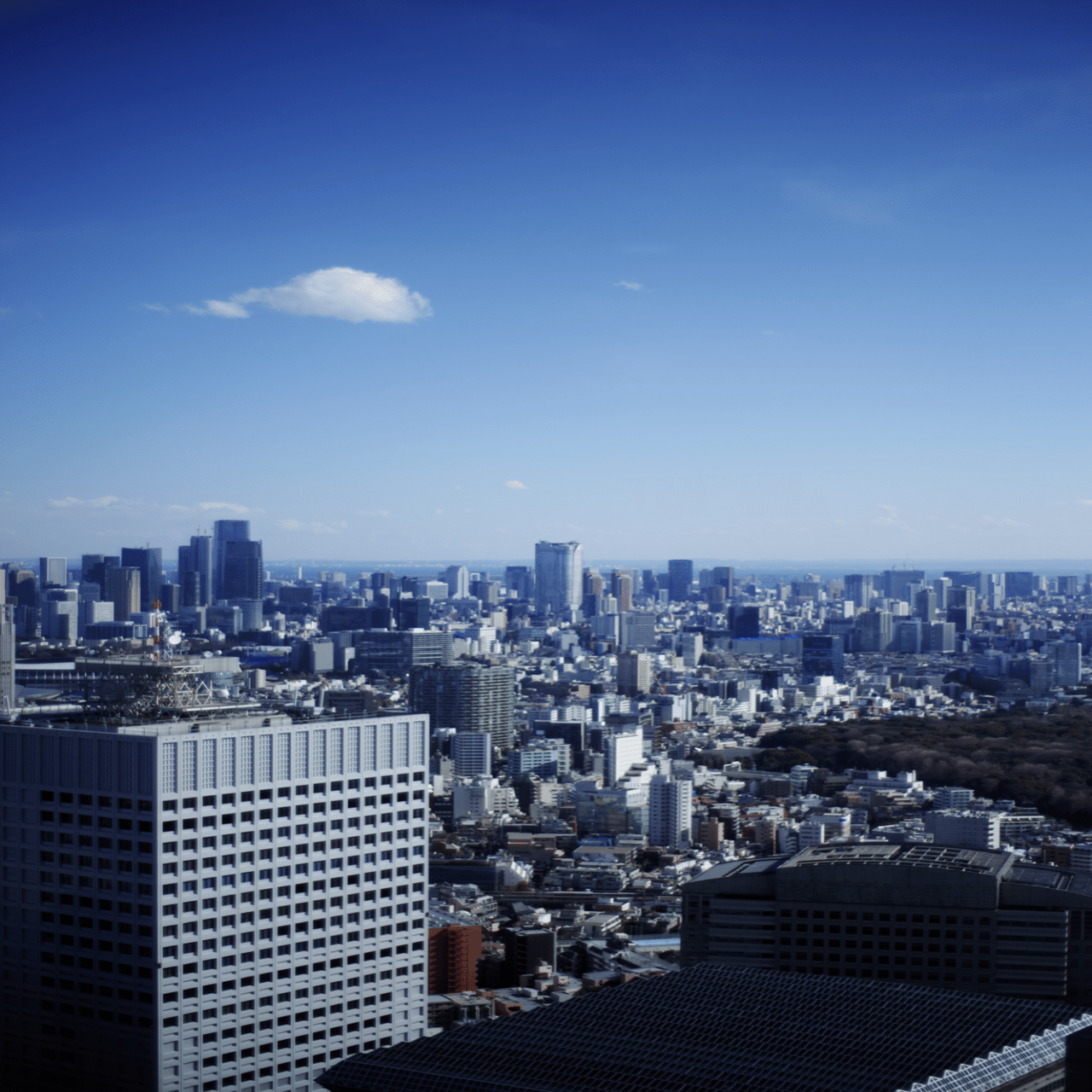 Carl Zeiss Planar T* 1.4/50 ZKと写真と私｜Aki Yamaki