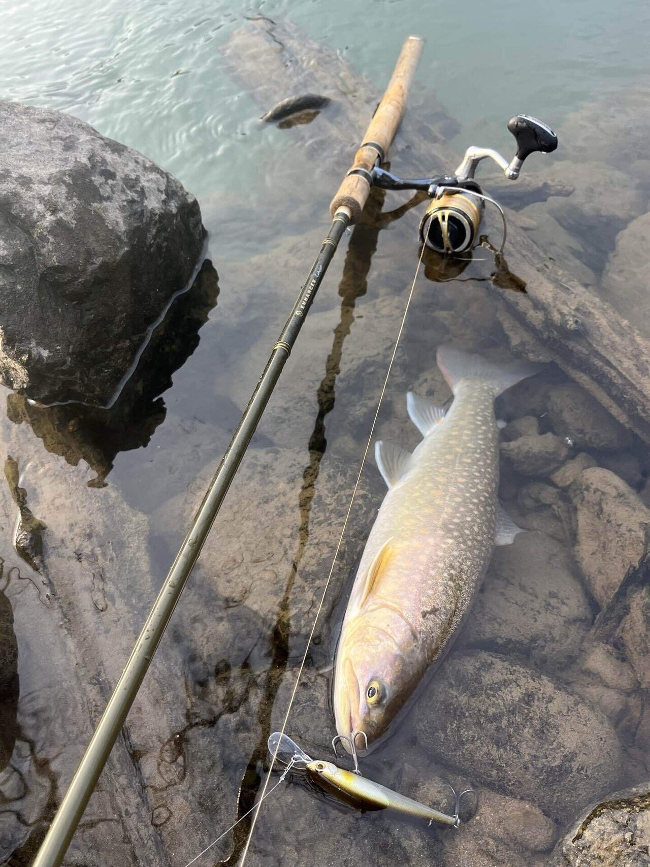 2025年新潟サクラマス釣り4日目【三面川】｜田沢寛