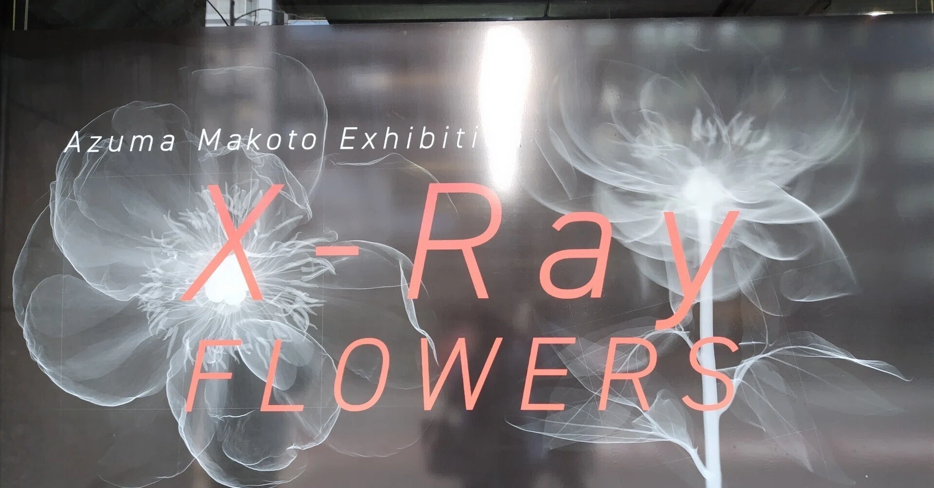 花の骨」のインパクト（3月23日/日）｜名秀子nahoko