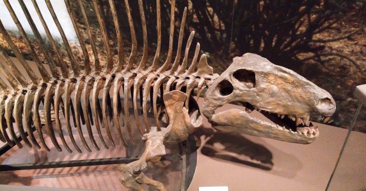 日本全国ディメトロマップ2023｜礼場日郎(にく電波)