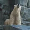 そらり
