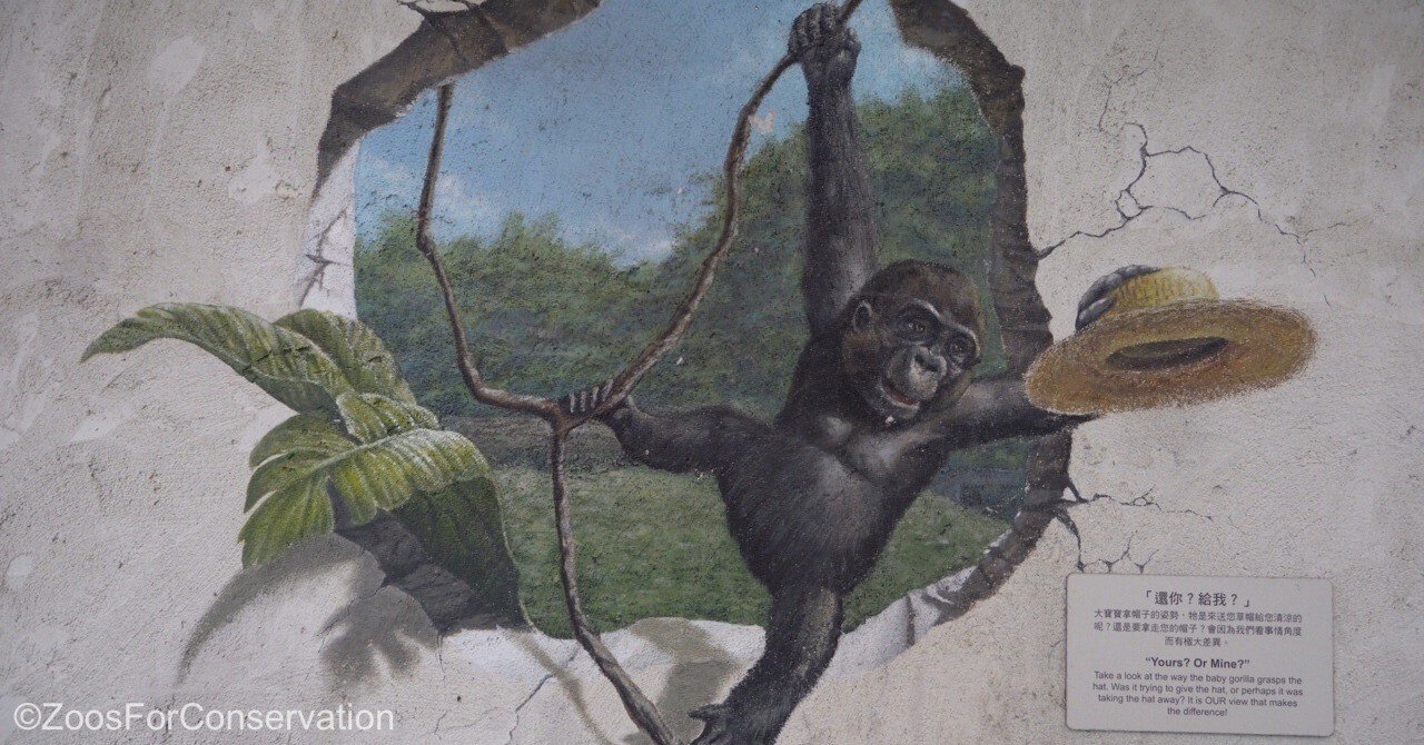 その種らしく生き生きと暮らすことができる動物園｜Zoos For