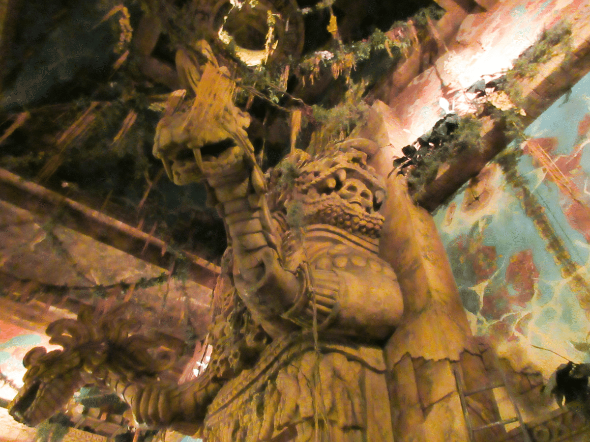 パコです。 隠れ人気キャラクター】パコって何者？その素顔に迫る！【TDS