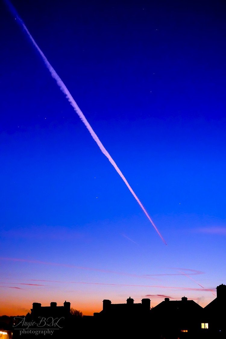 夜明け前の空に、太陽の方角を目指す飛行機雲が一条。