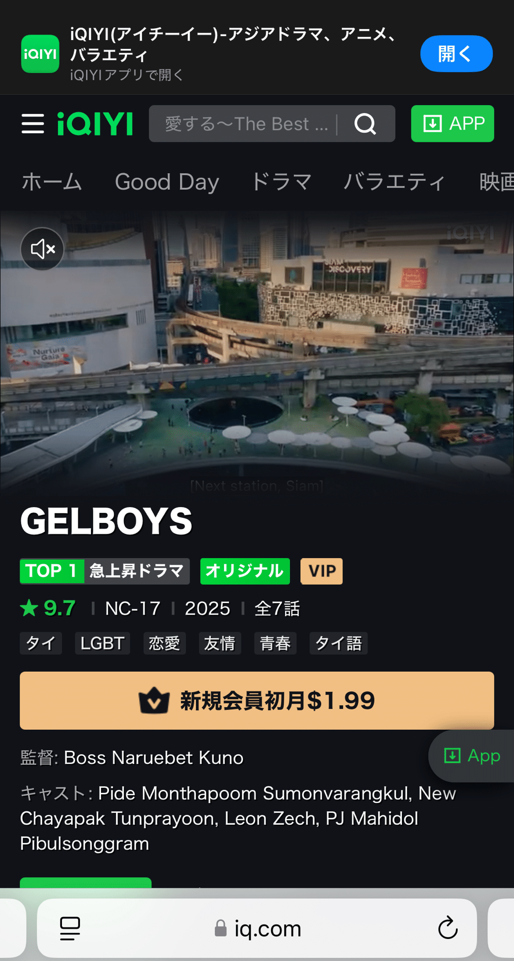 GELBOYSどうやって見る？｜わけこ