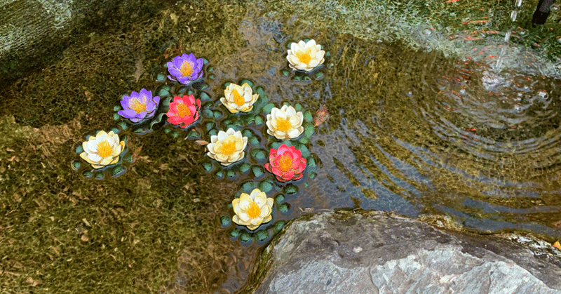 元旦の湘南を歩く〜初日の出、長谷寺〜