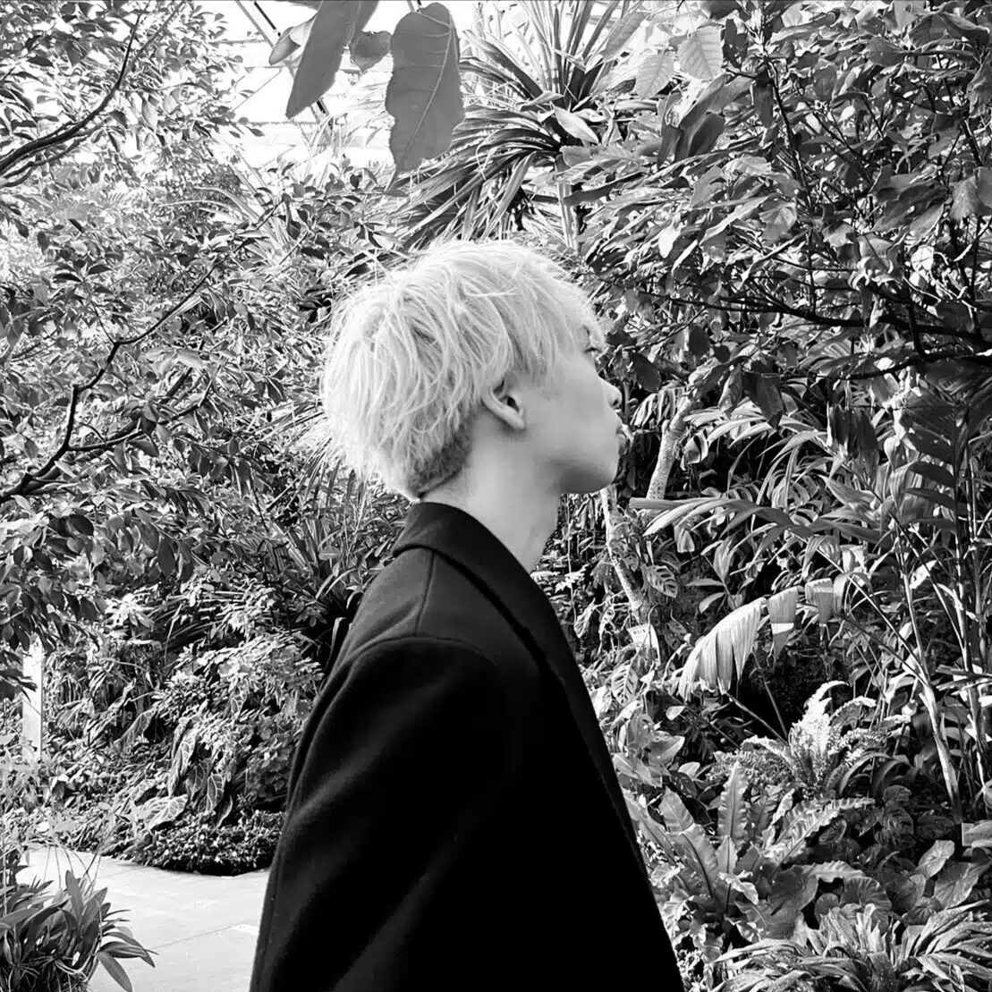 Ryo｜WEBエンジニア