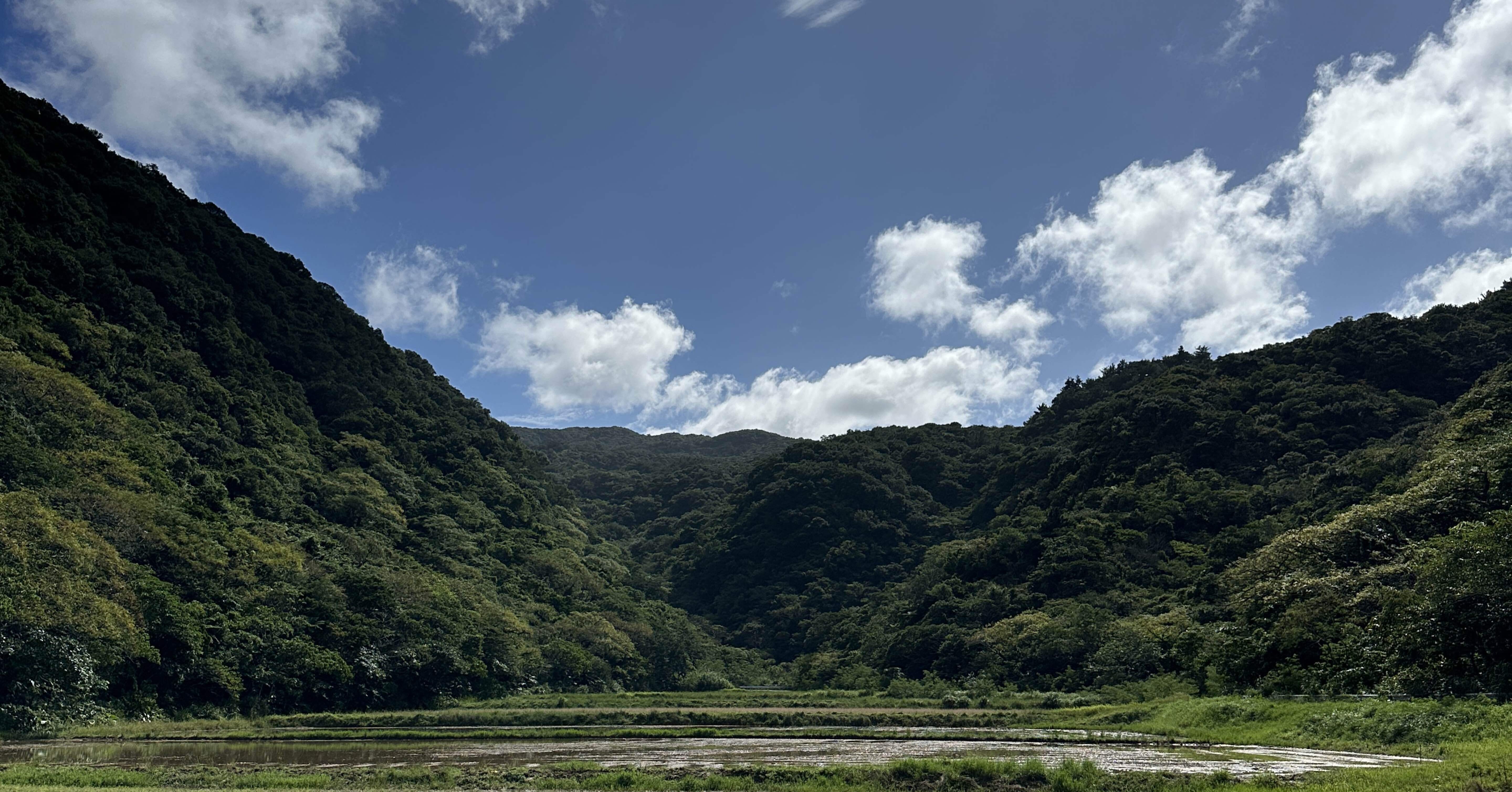 2024年ヤエヤママルバネクワガタ採集記｜Timmy