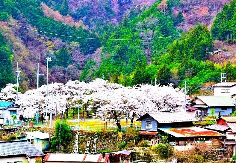 海外居住者に日本の里山の風景を届けたい」 山梨県の十谷の里山 海外居住者に日本の里山の風景を届けたい」 山梨県の十谷の里山