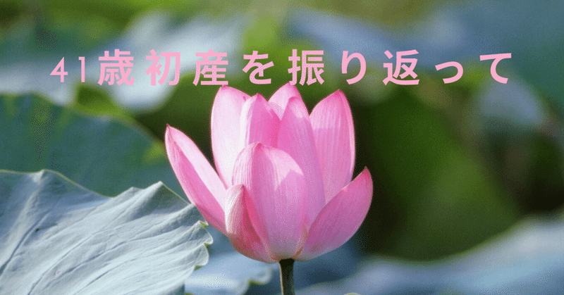 週 妊娠 何 ヶ月 12