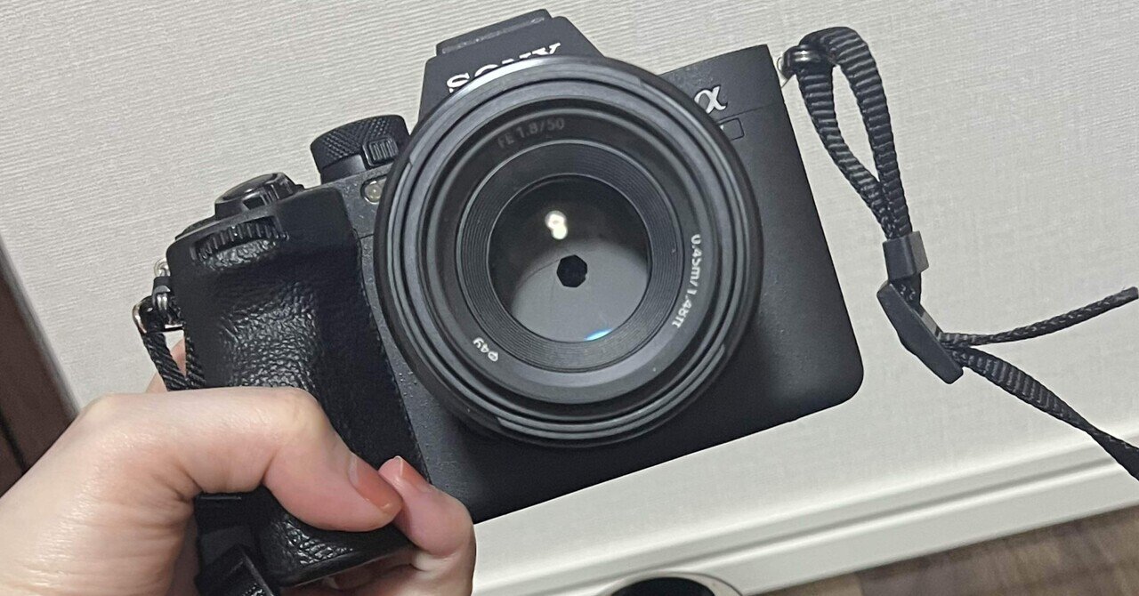 ニコン】祝20周年!Nikon D70を使う。D60も。|ryosukewexer ニコン】祝20周年!Nikon D70を使う。D60も。|ryosukewexer