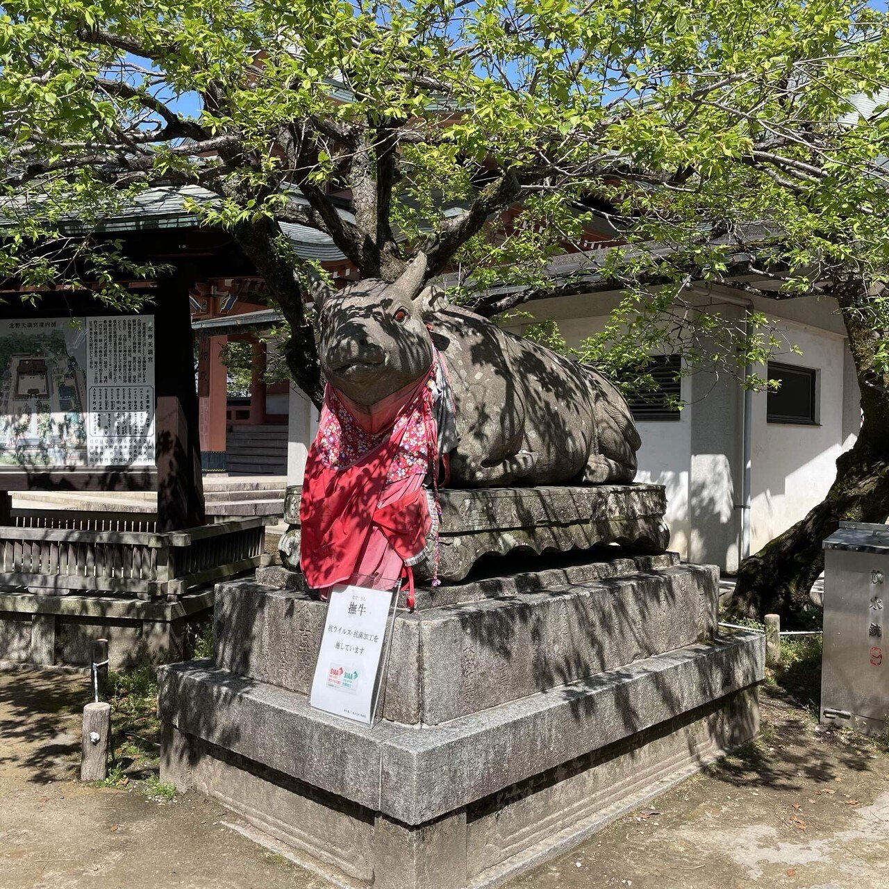 京都北野天満宮】毎月25日は天神様の日！長五郎餅を食べに北野天満宮へ