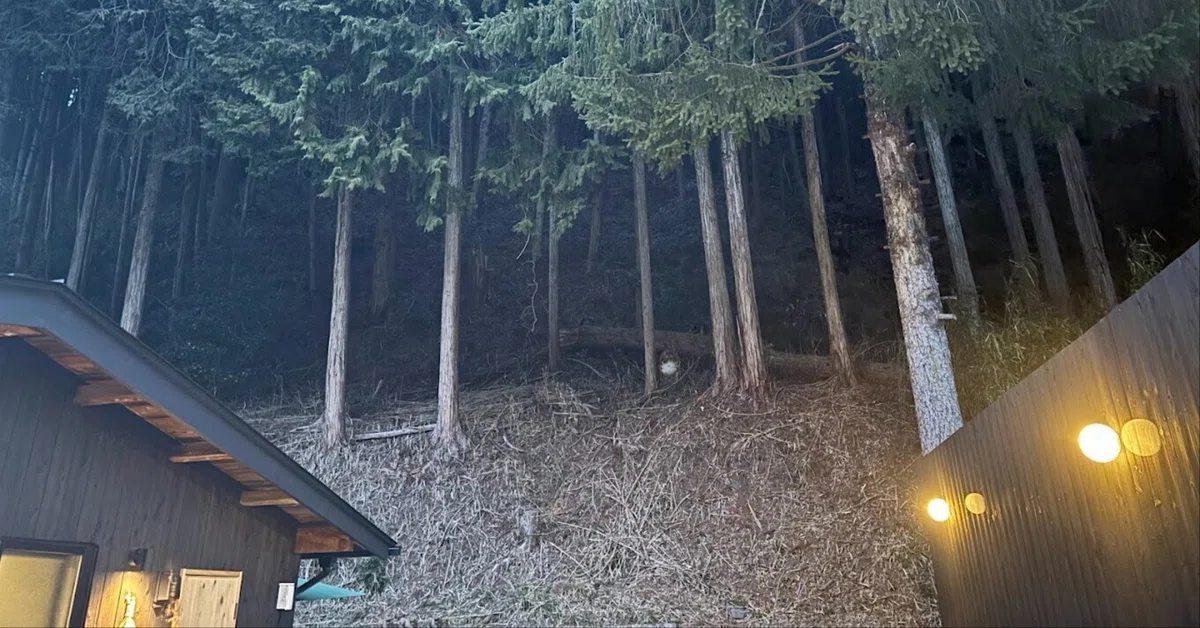 SHIGARAKI SAUNAに潜入してみた!|earthsauna