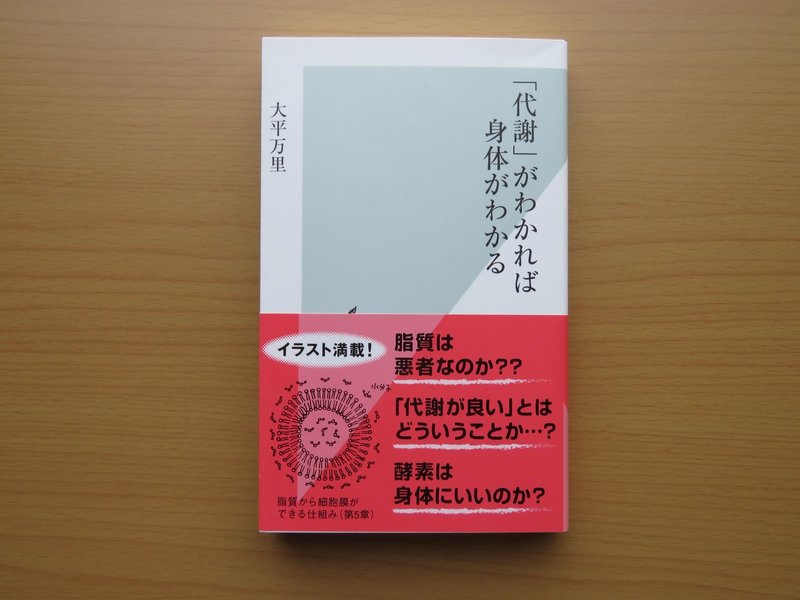 必要な栄養をとり 有酸素運動をすると メンタルは回復する かも パーキー パット Note