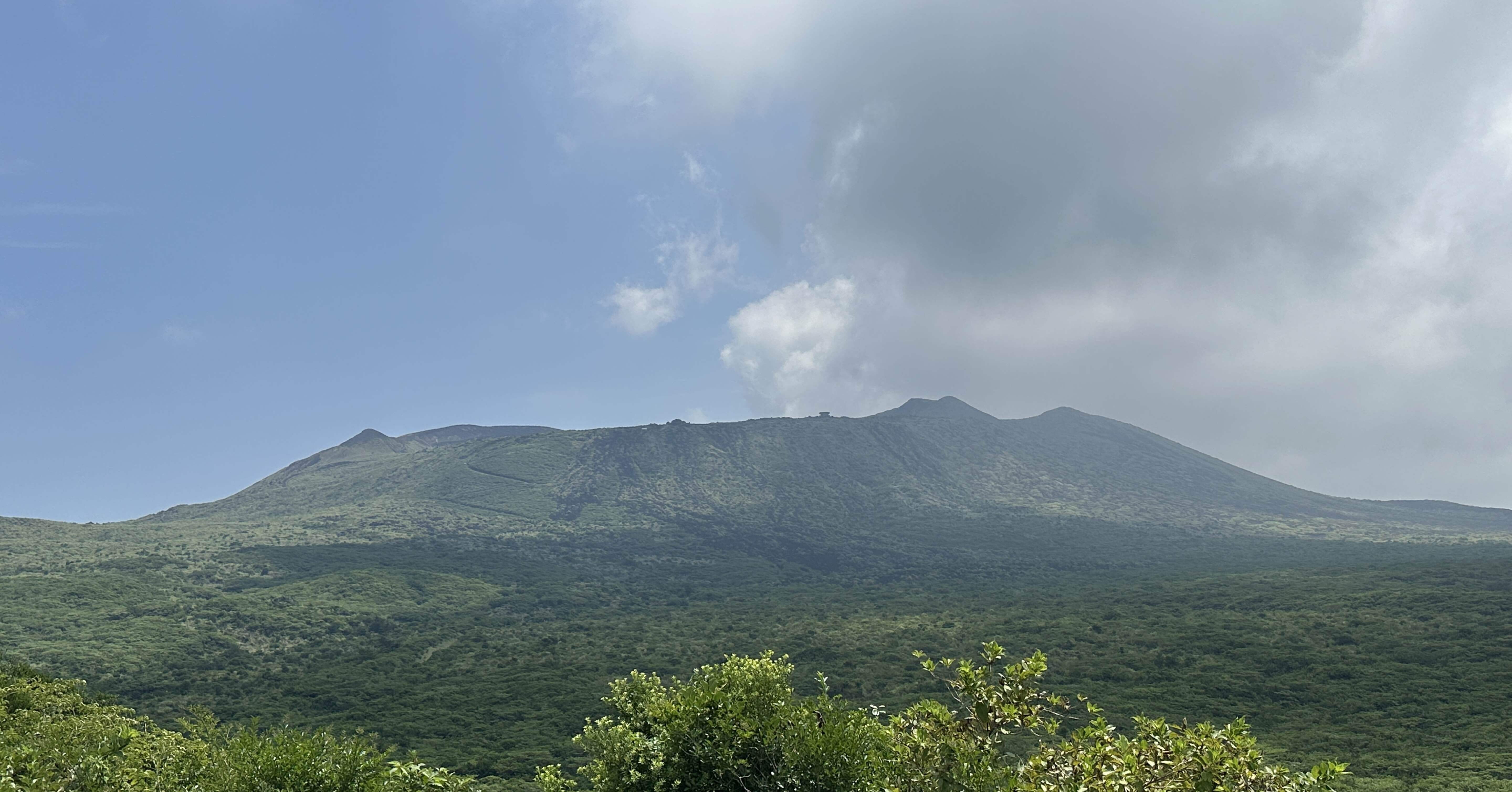 イズミヤマクワガタ採集記〜伊豆大島〜｜Timmy