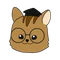 リスぼん