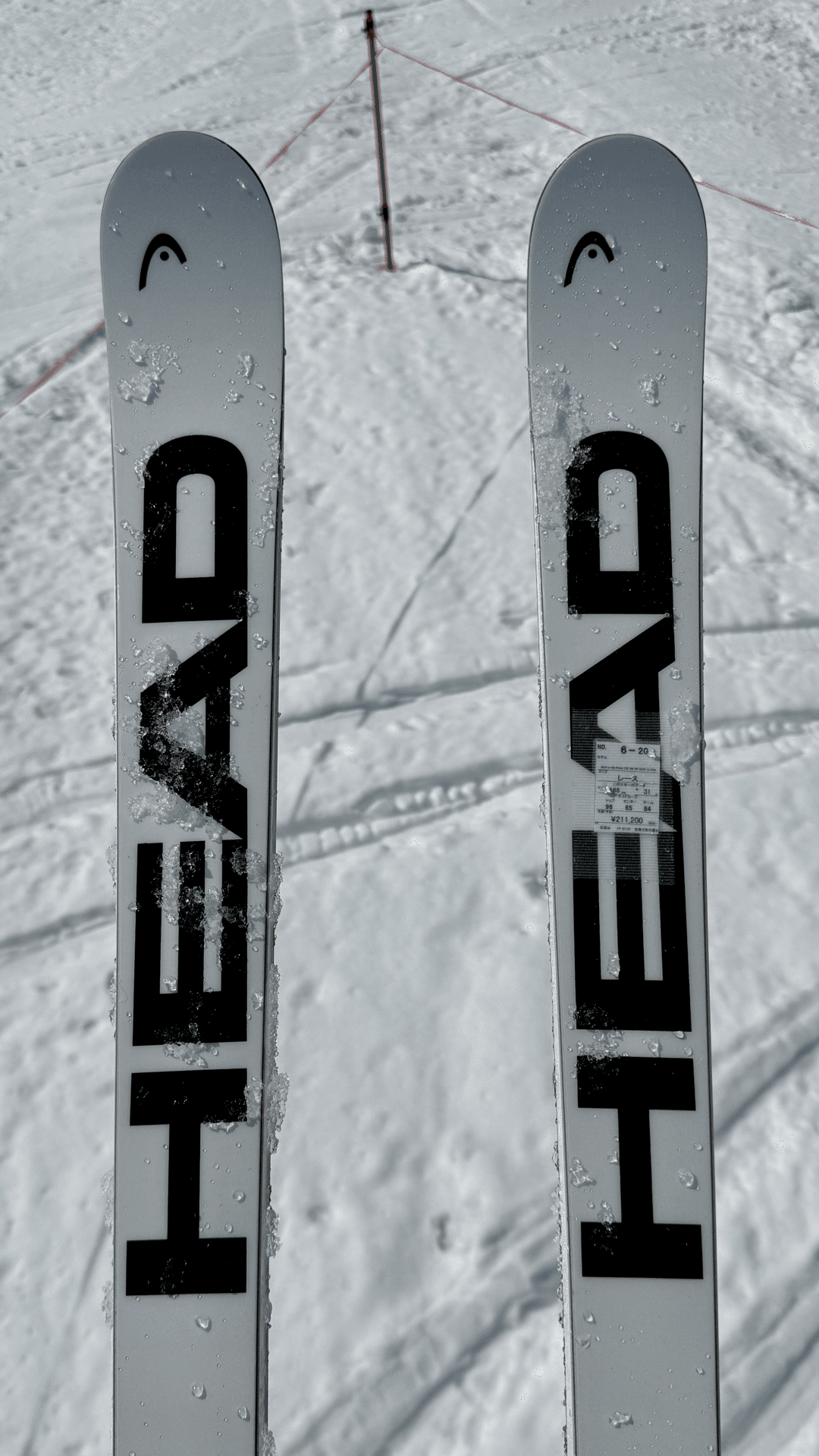 Nordica GS World Cup スキー 188cm R30 Nordica GS World Cup スキー 188cm R30