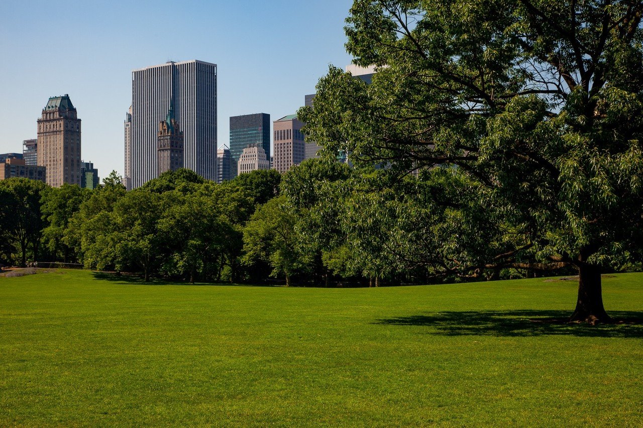 ニューヨーク セントラルパーク Zenpaku Note ニューヨーク セントラルパーク Zenpaku Note