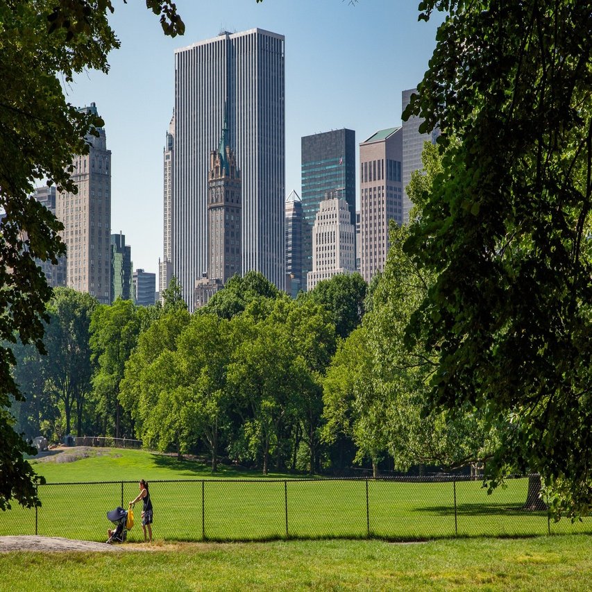 ニューヨーク セントラルパーク Zenpaku Note