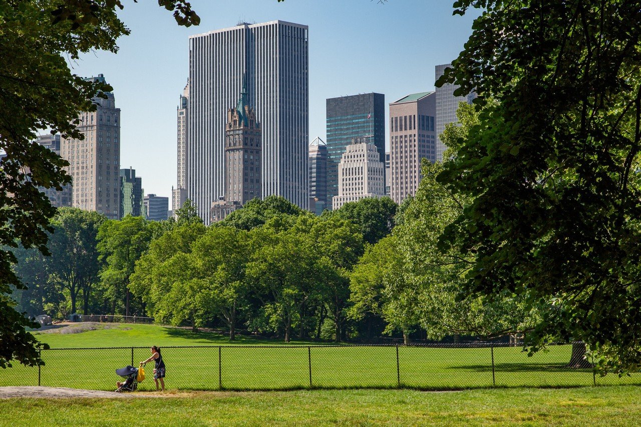 ニューヨーク セントラルパーク Zenpaku Note ニューヨーク セントラルパーク Zenpaku Note