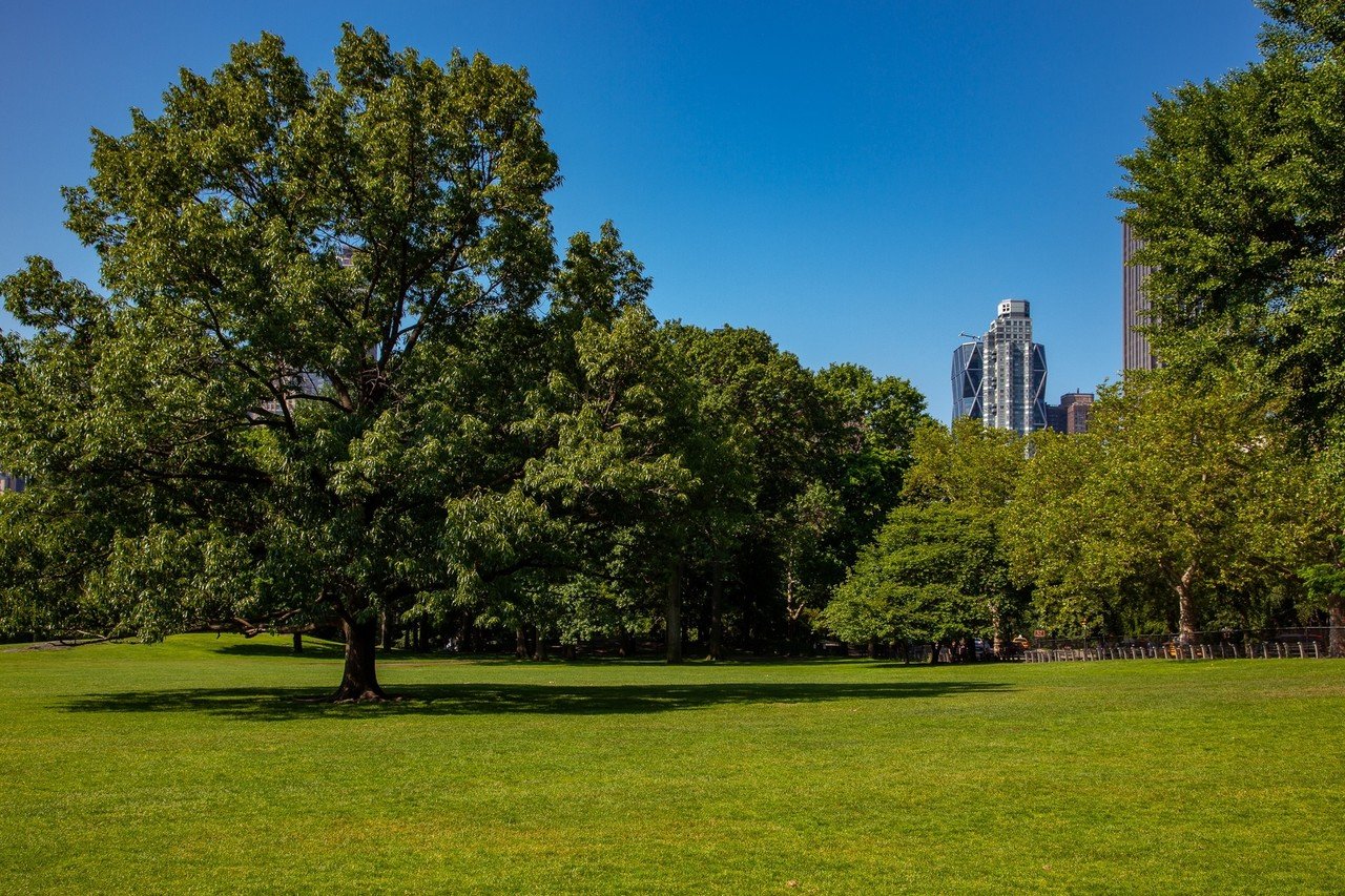 ニューヨーク セントラルパーク Zenpaku Note ニューヨーク セントラルパーク Zenpaku Note