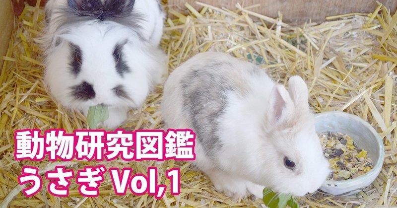 動物研究図鑑 うさぎvol 1 Note0030 アニマルイラストレーターryo Note