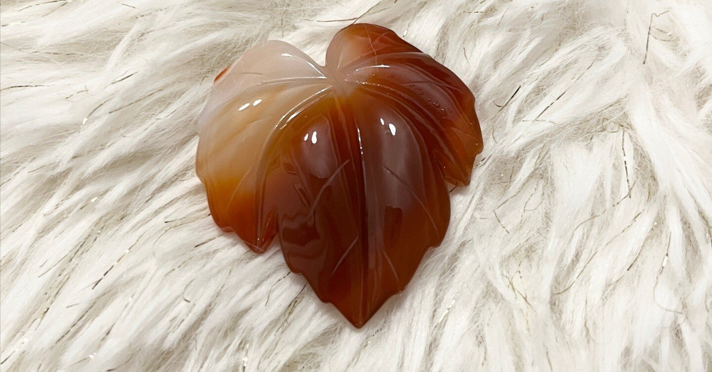 帯留沼と帯締め｜Tomoco.S