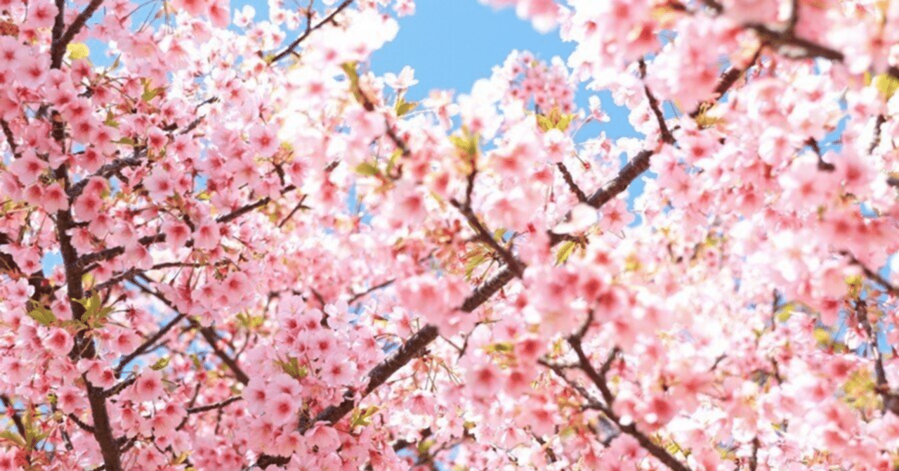 極真空手を始めたいあなたに贈るtips〜道場の選び方・費用・継続するに