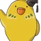 アラカンいんこ