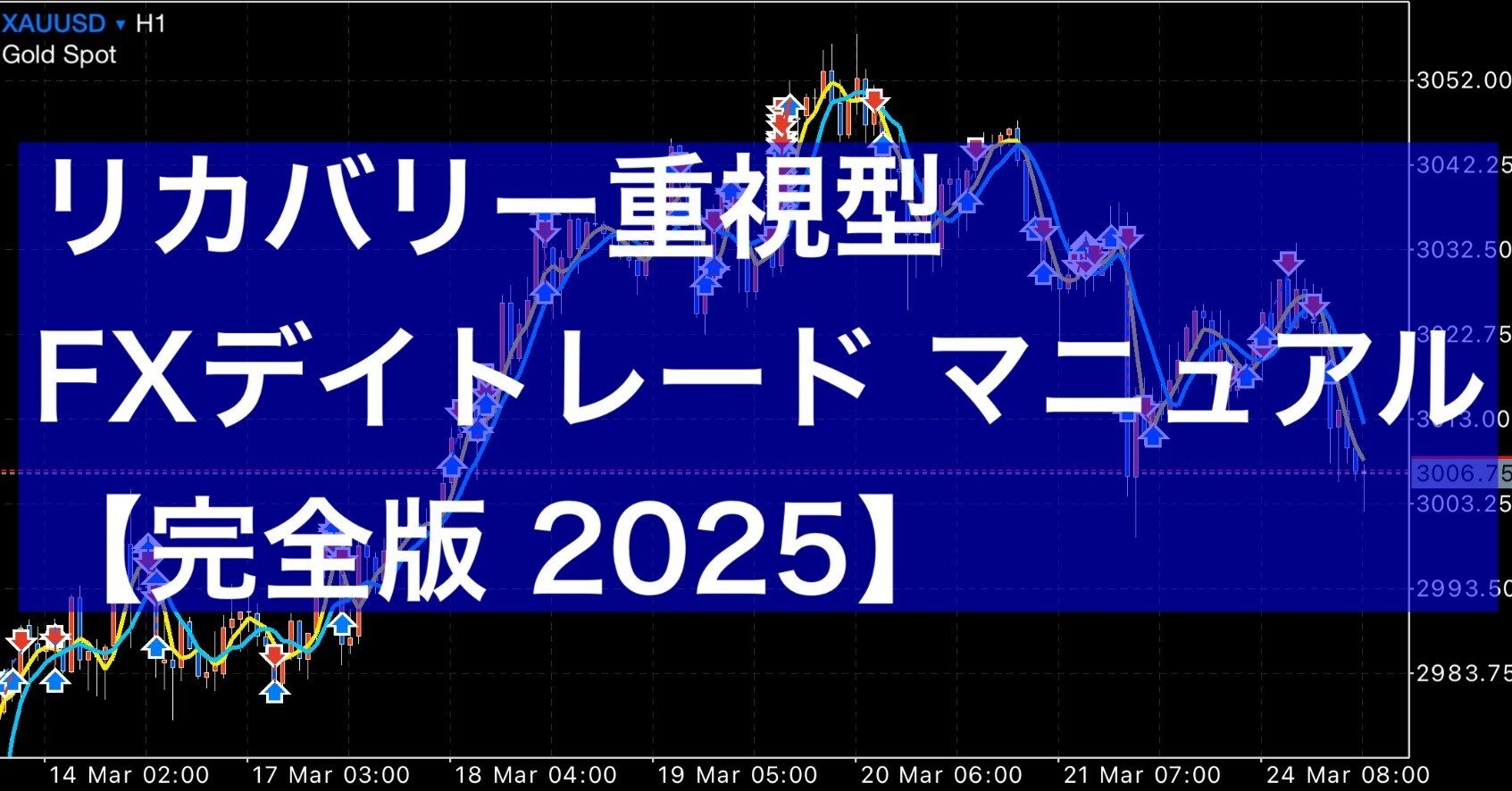 リカバリー重視型FXデイトレード マニュアル【完全版 2025】｜FX RT