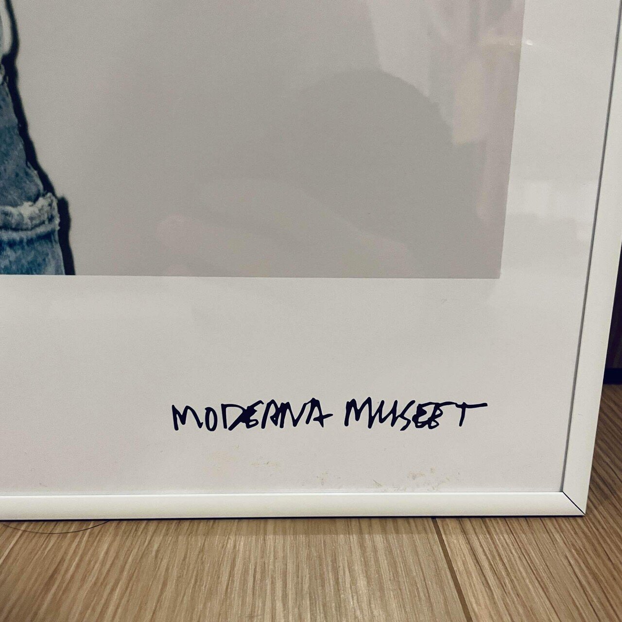 このビジュアル、ただものじゃない…アニカ・エリザベス・フォン