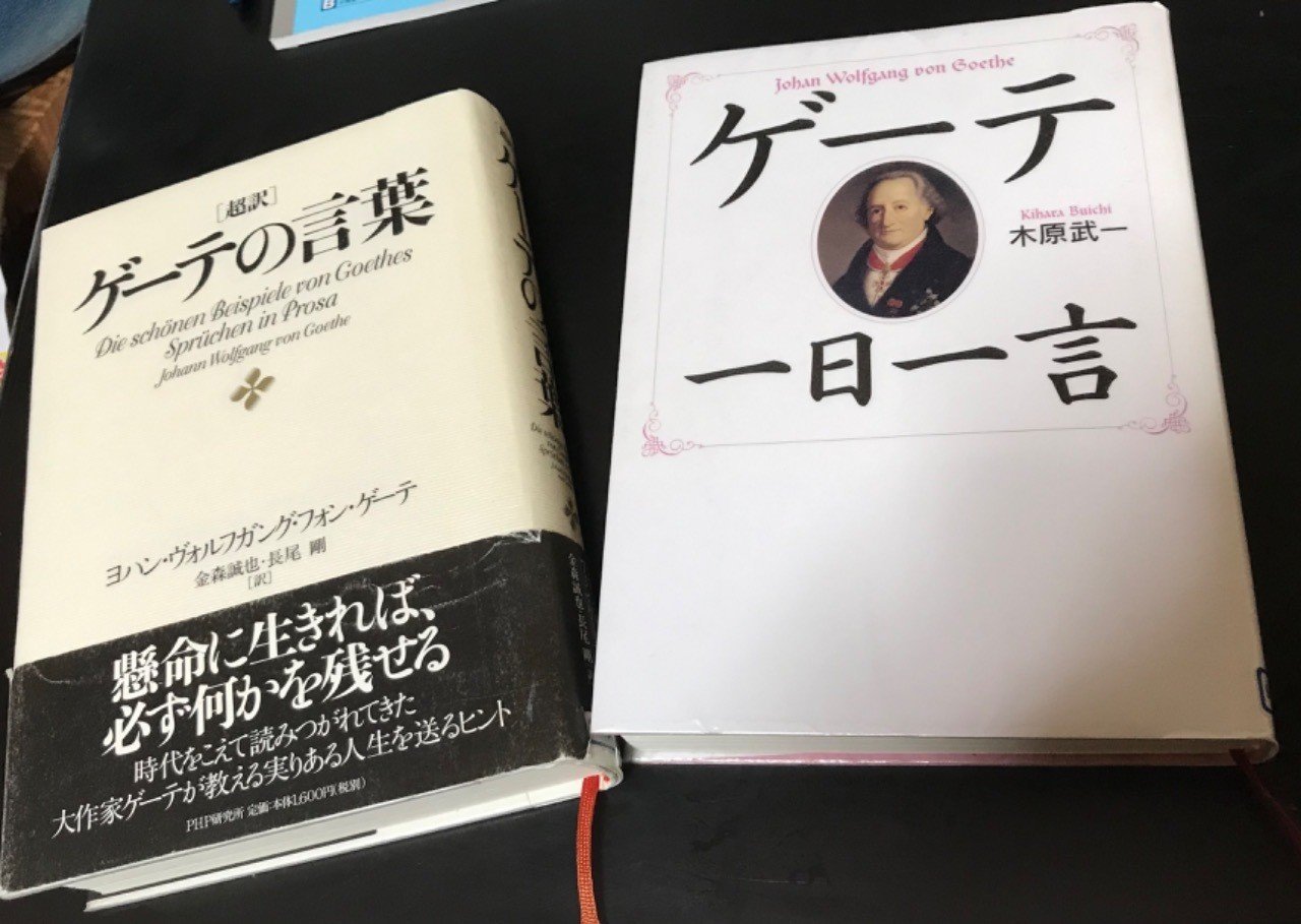 ゲーテ全集 11 グストヒェンへの手紙 ゲーテとの対話抄 ゲーテ格言集 レターパックプラス 人文書院 昭和40年 評論集 重版 一部予約販売中 評論集