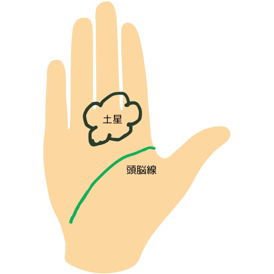 [Understand via Palmistry] Characteristics of People Suited for IT ...